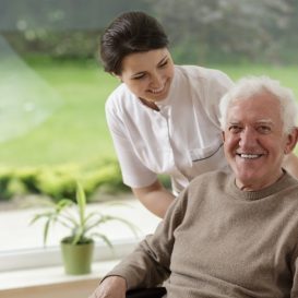 Domiciliary Home Carer 1 Day Mandatory (13 Courses) course